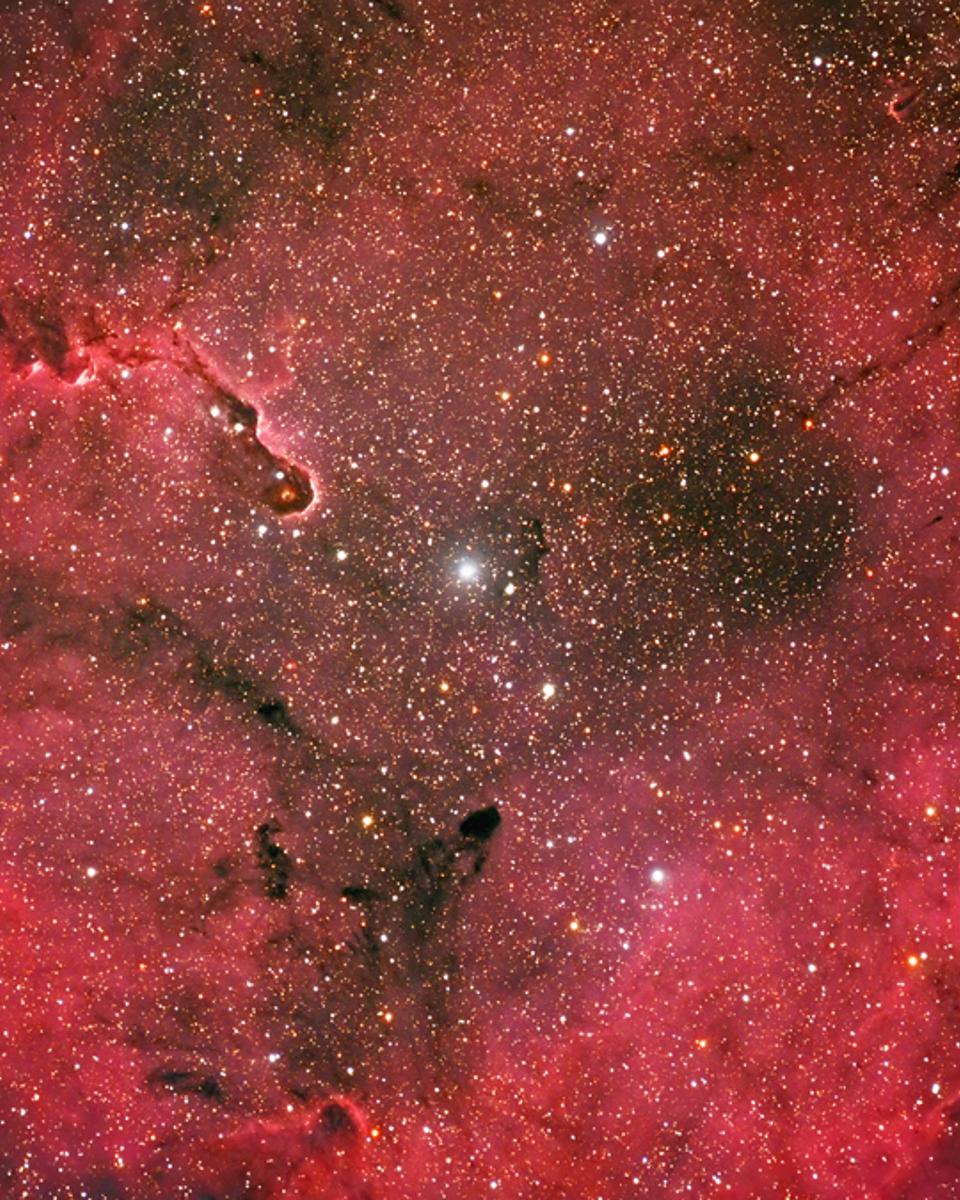 Emission Nebula IC 1396