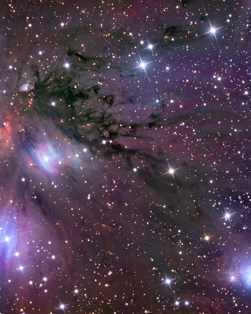Stars, Dust and Nebula in NGC 2170