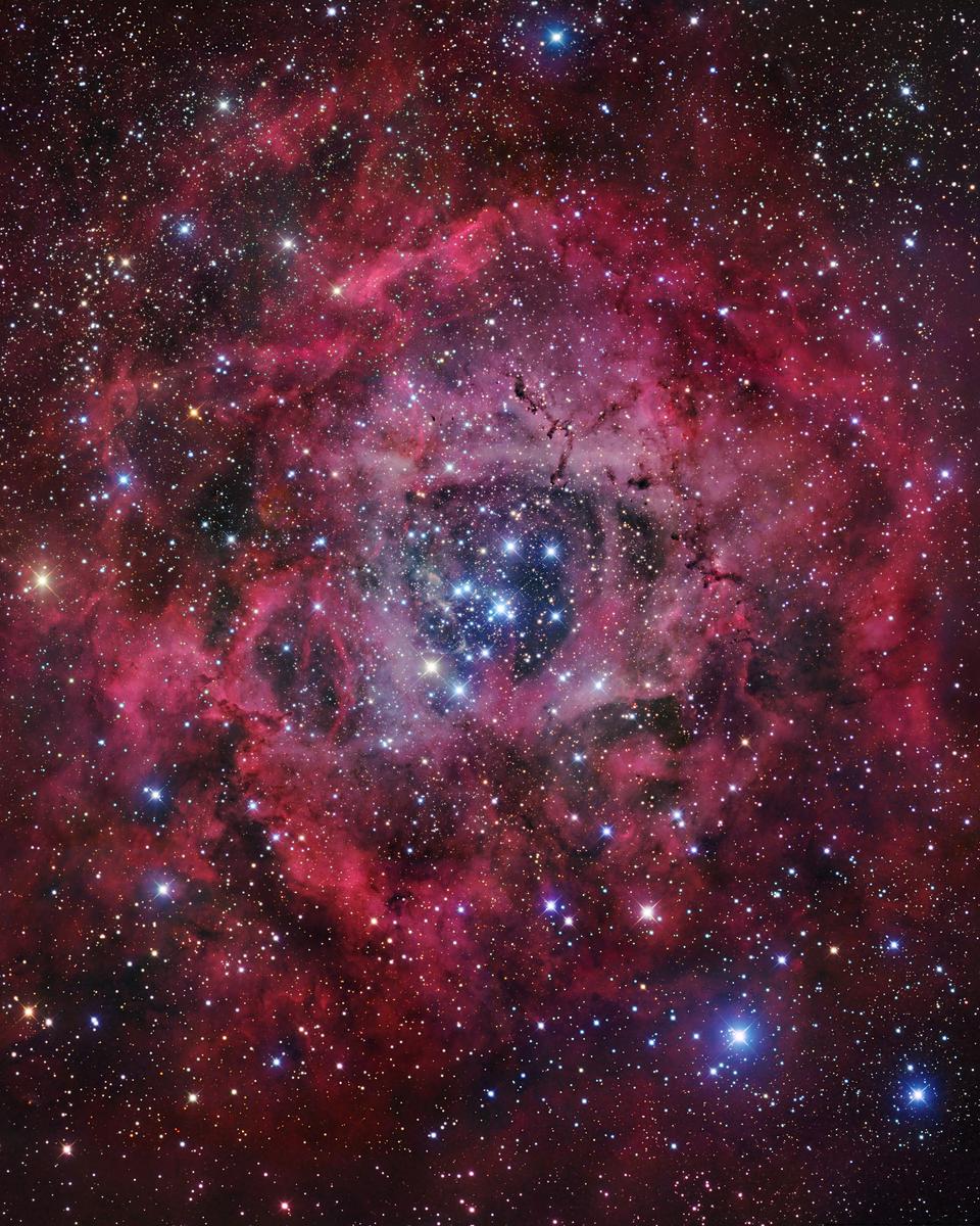 The Rosette Nebula