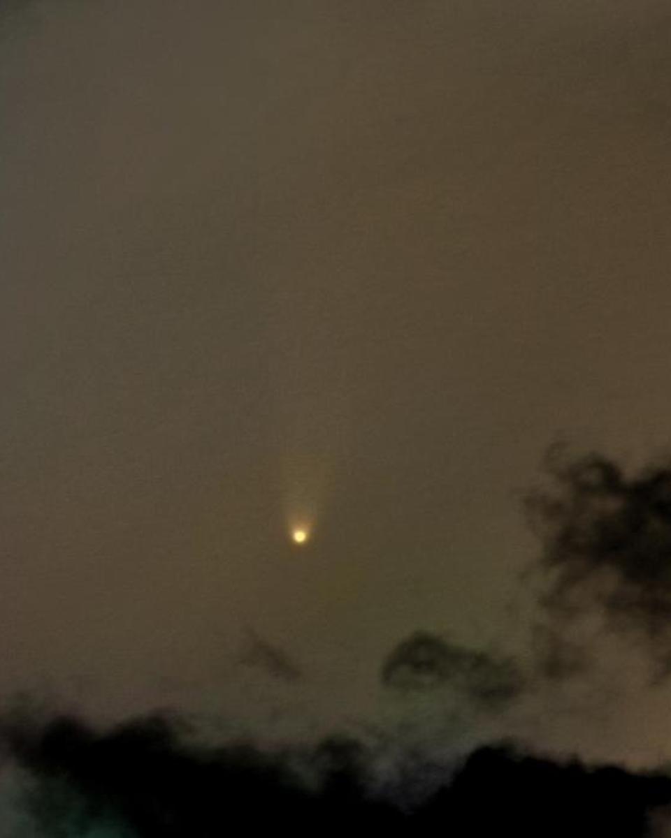 Comet McNaught Heads for the Sun