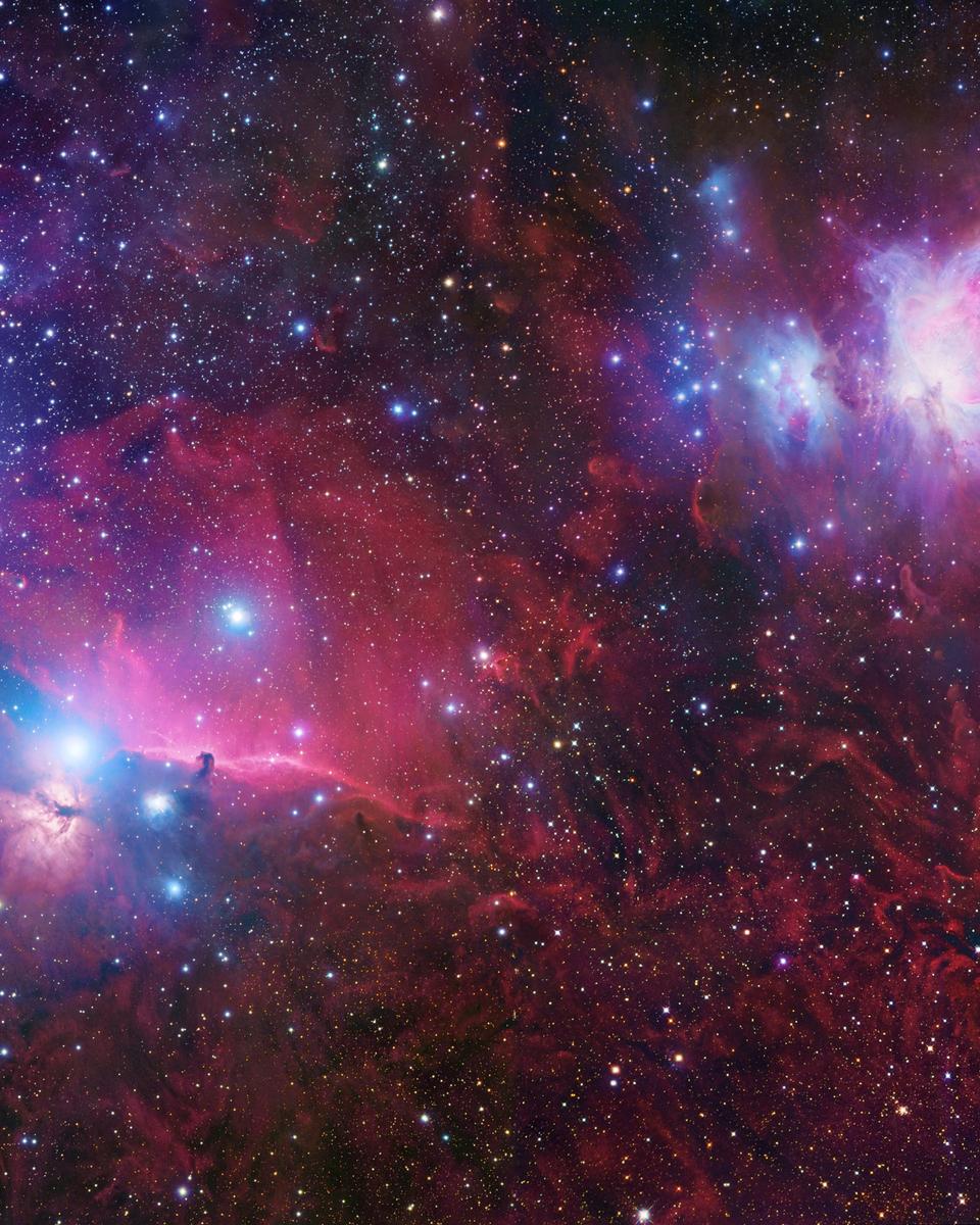 The Orion Deep Field