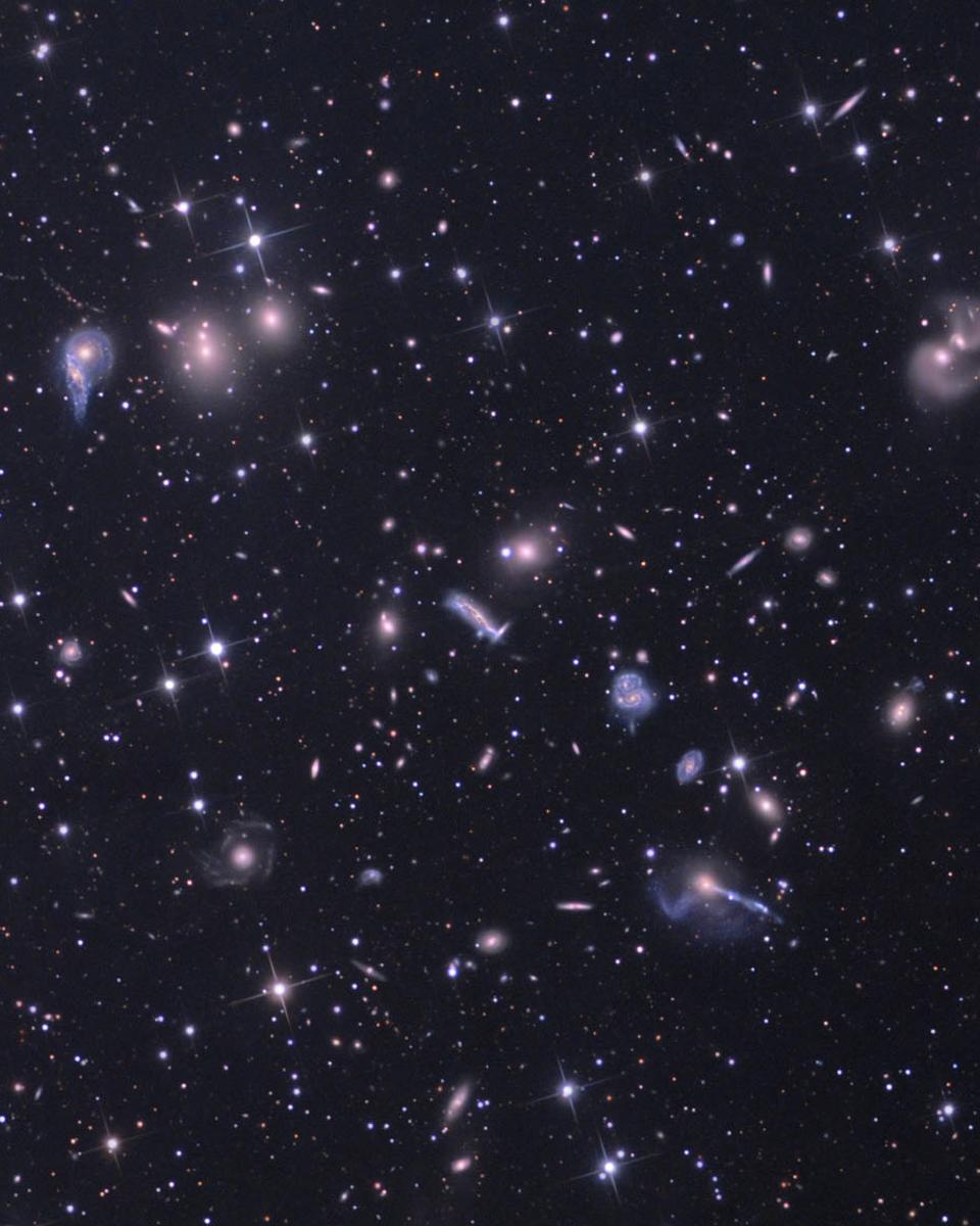 The Hercules Cluster of Galaxies