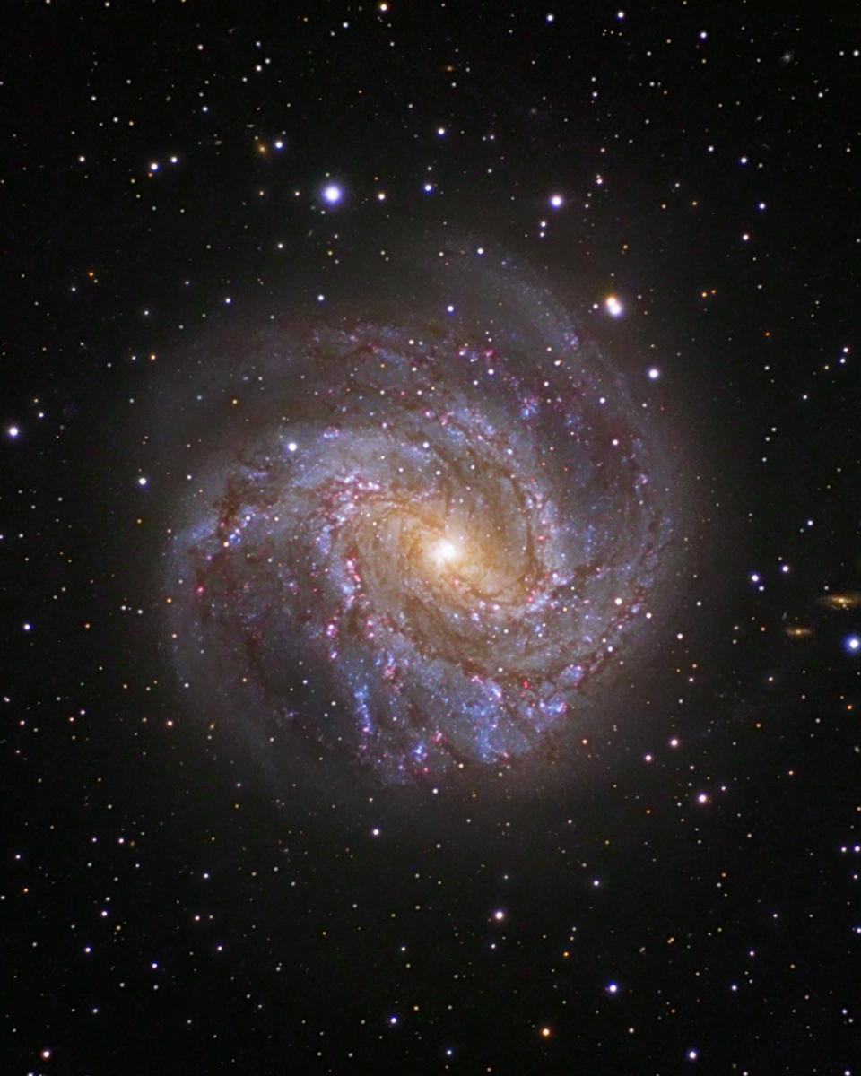 Spiral Galaxy M83: The Southern Pinwheel