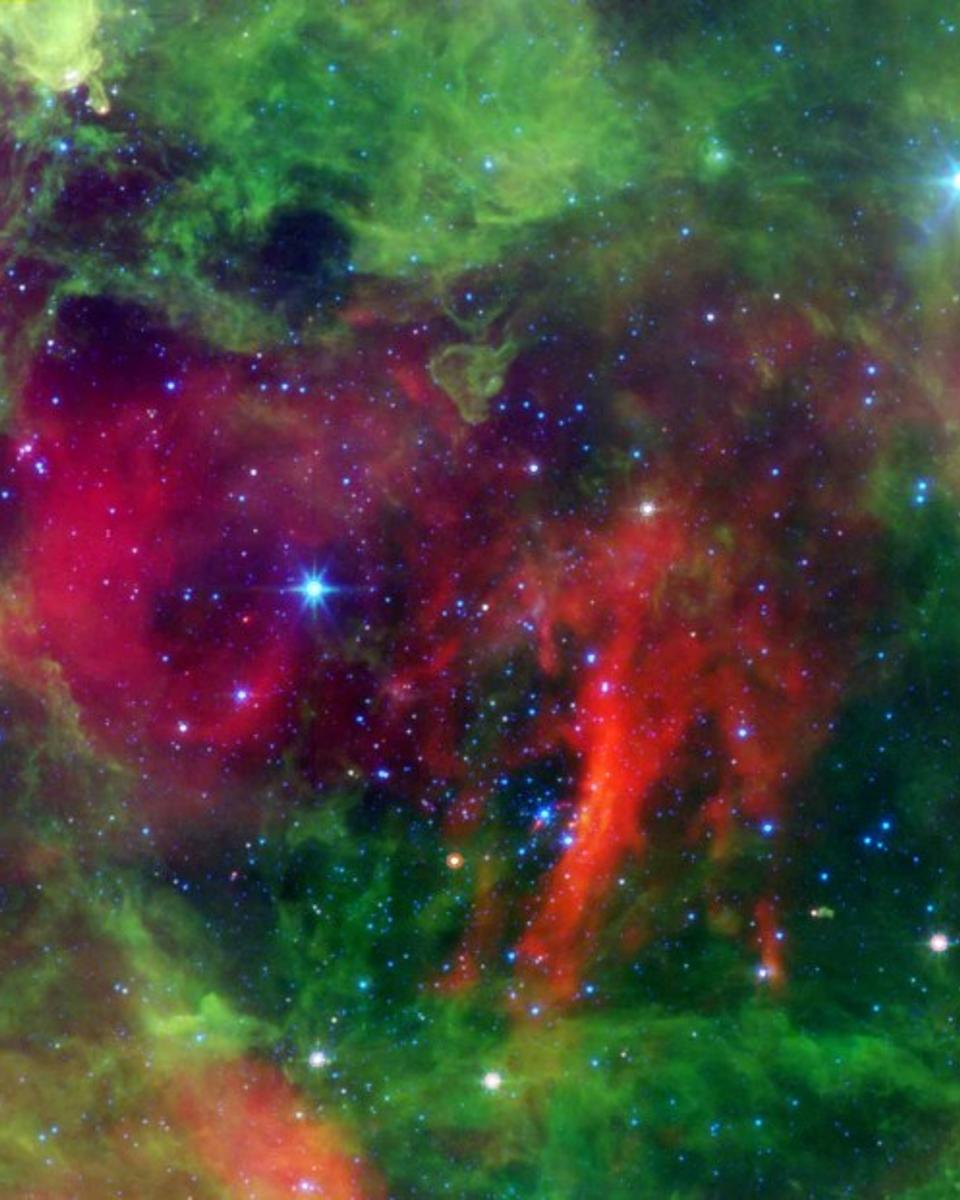 Hot Stars in the Rosette Nebula