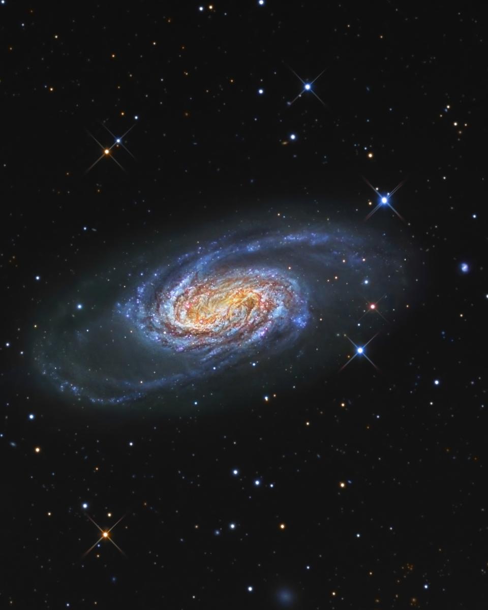 Bright Galaxy NGC 2903