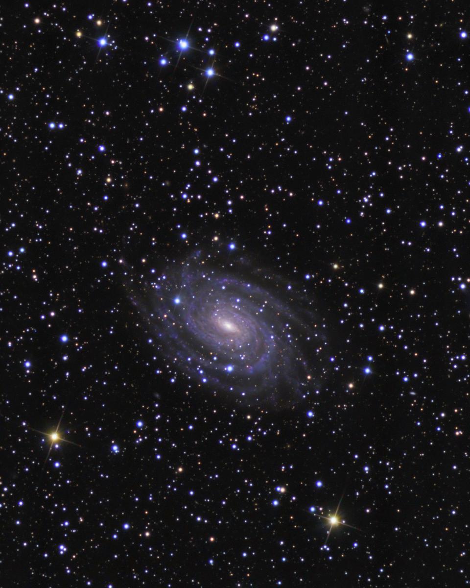 NGC 6384: Beyond the Stars