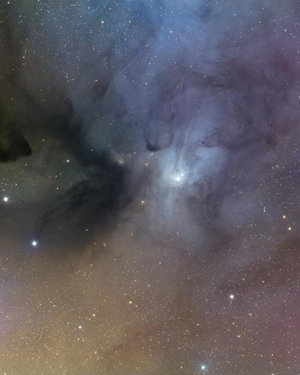 IC 4603: Reflection Nebula in Ophiuchius