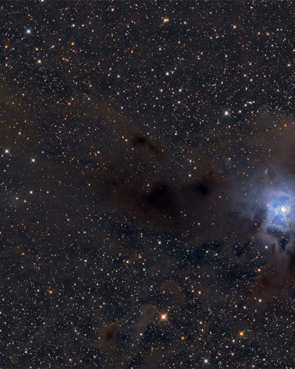 Wisps of the Iris Nebula