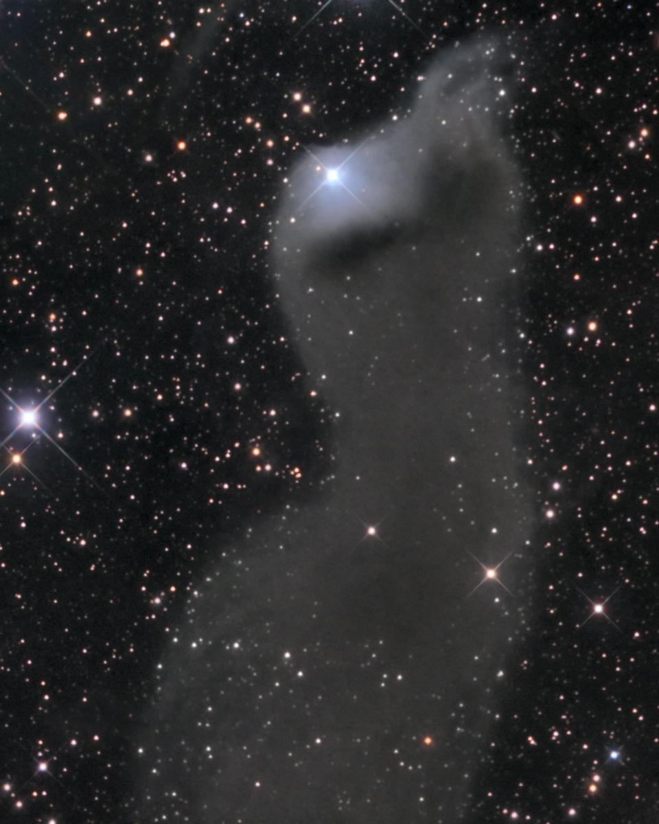 vdB 152: Reflection Nebula in Cepheus
