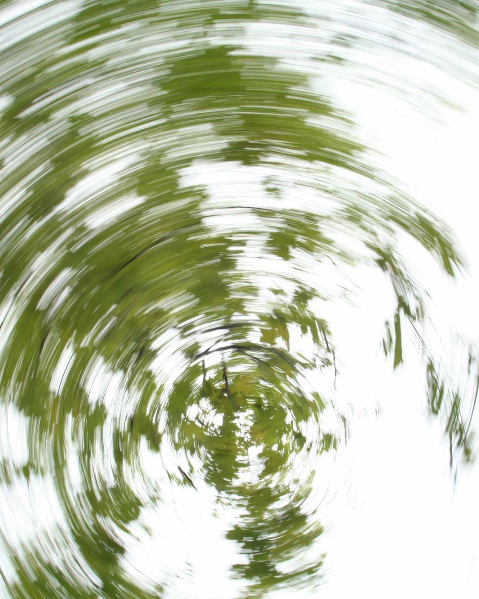 Circum-axial Leaf Trails
