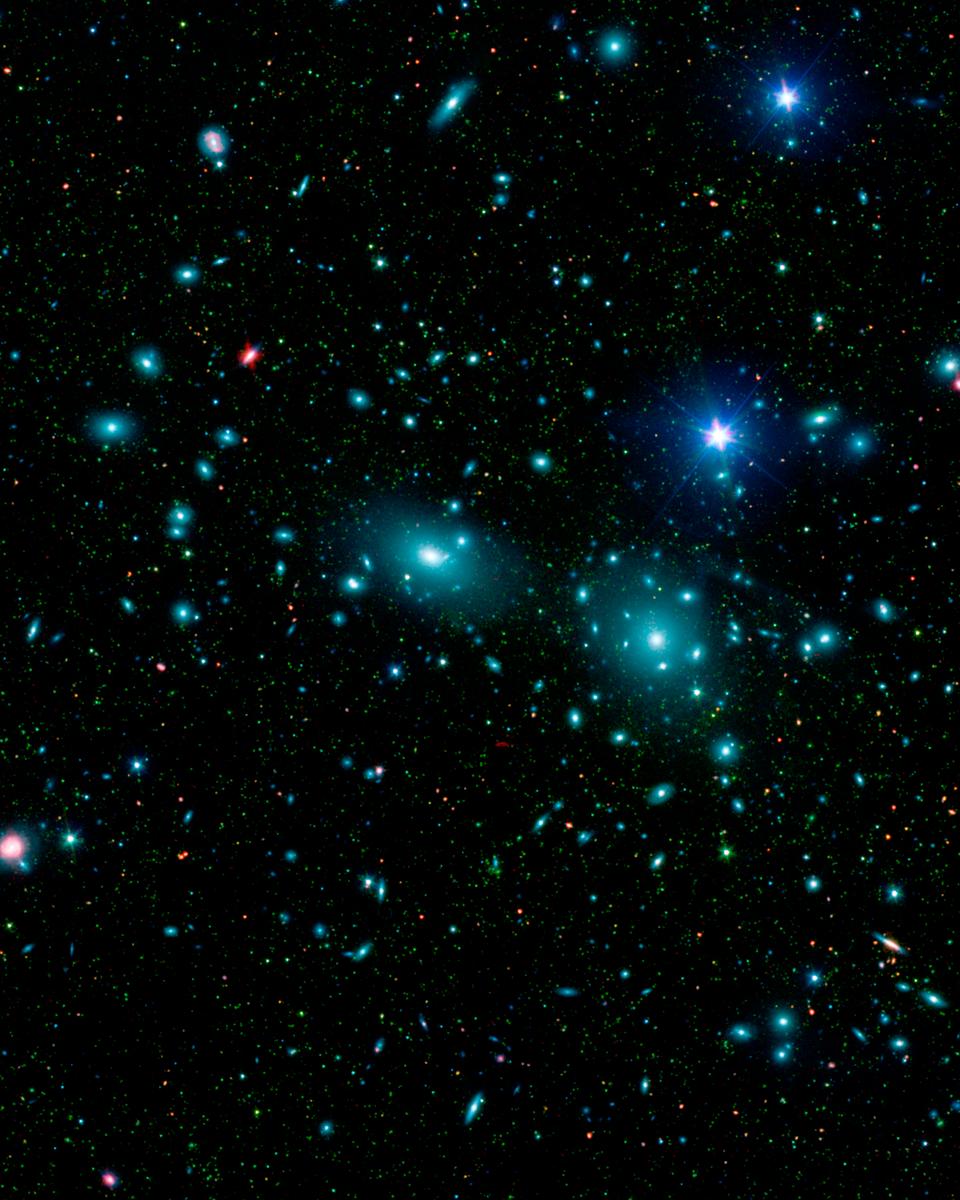 Dwarf Galaxies in the Coma Cluster