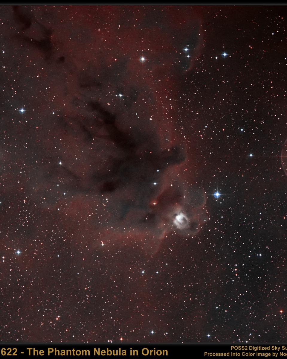 LDN 1622: Dark Nebula in Orion