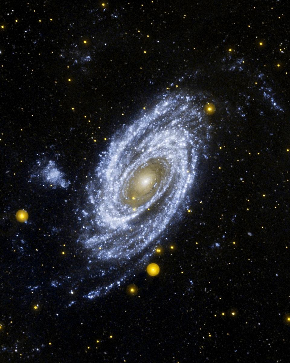 Bright Spiral Galaxy M81 in Ultraviolet from Galex