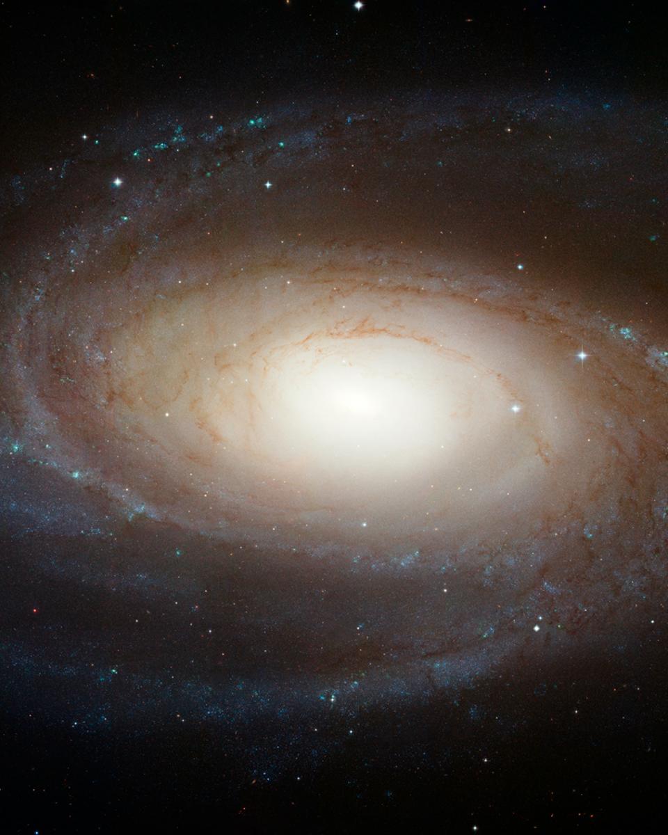 Bright Spiral Galaxy M81 from Hubble