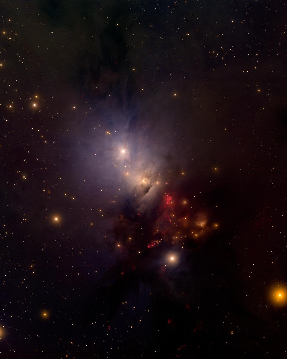 In the Center of Reflection Nebula NGC 1333