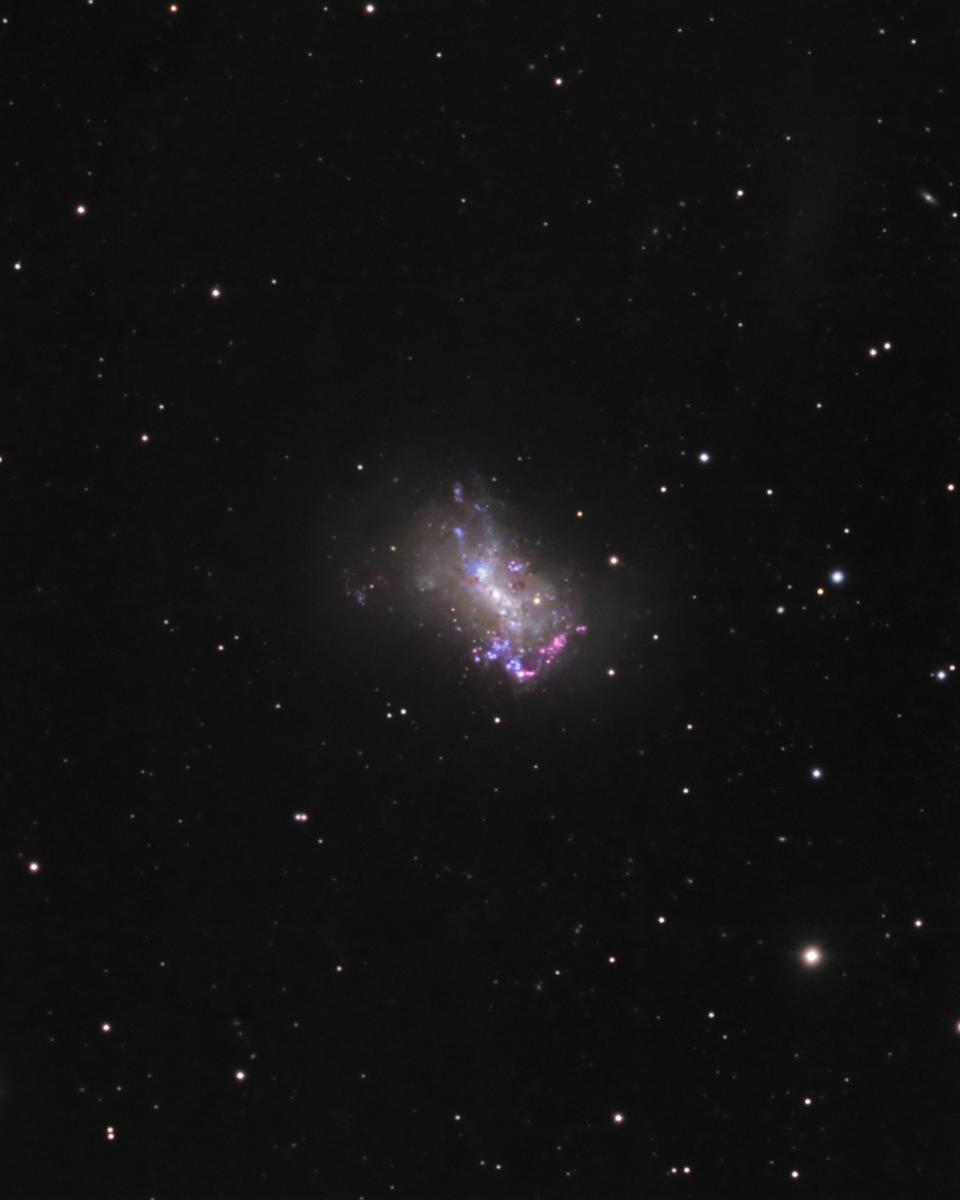 Small Galaxy NGC 4449