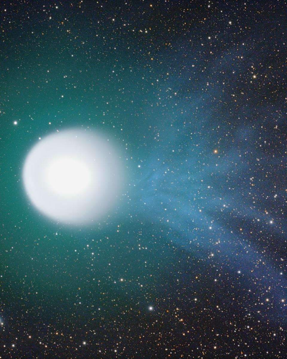 A Tale of Comet Holmes