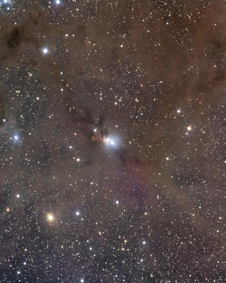 Stardust in Perseus
