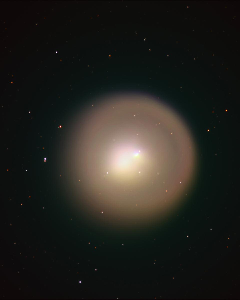 Golden Comet Holmes
