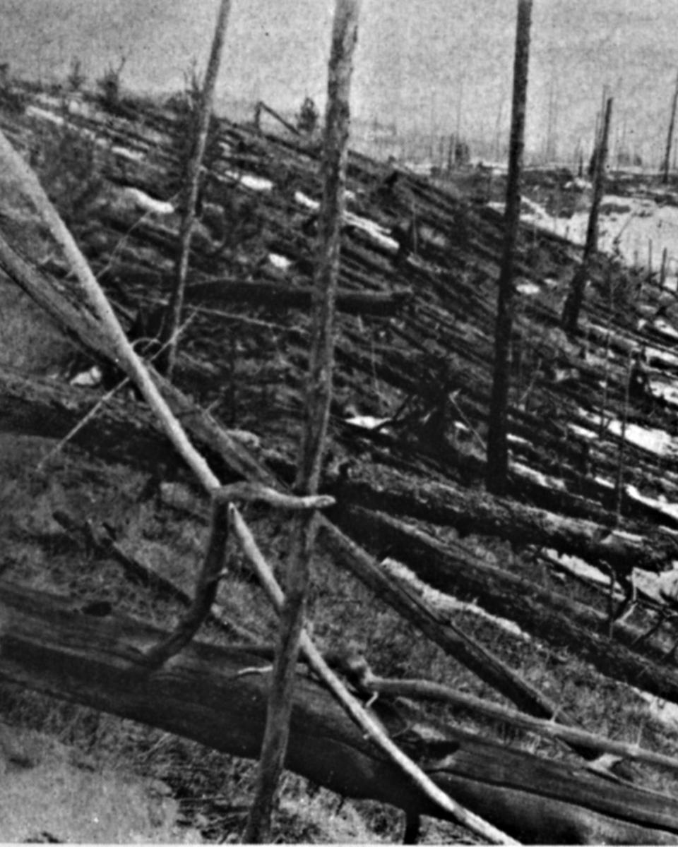 Tunguska: The Largest Recent Impact Event