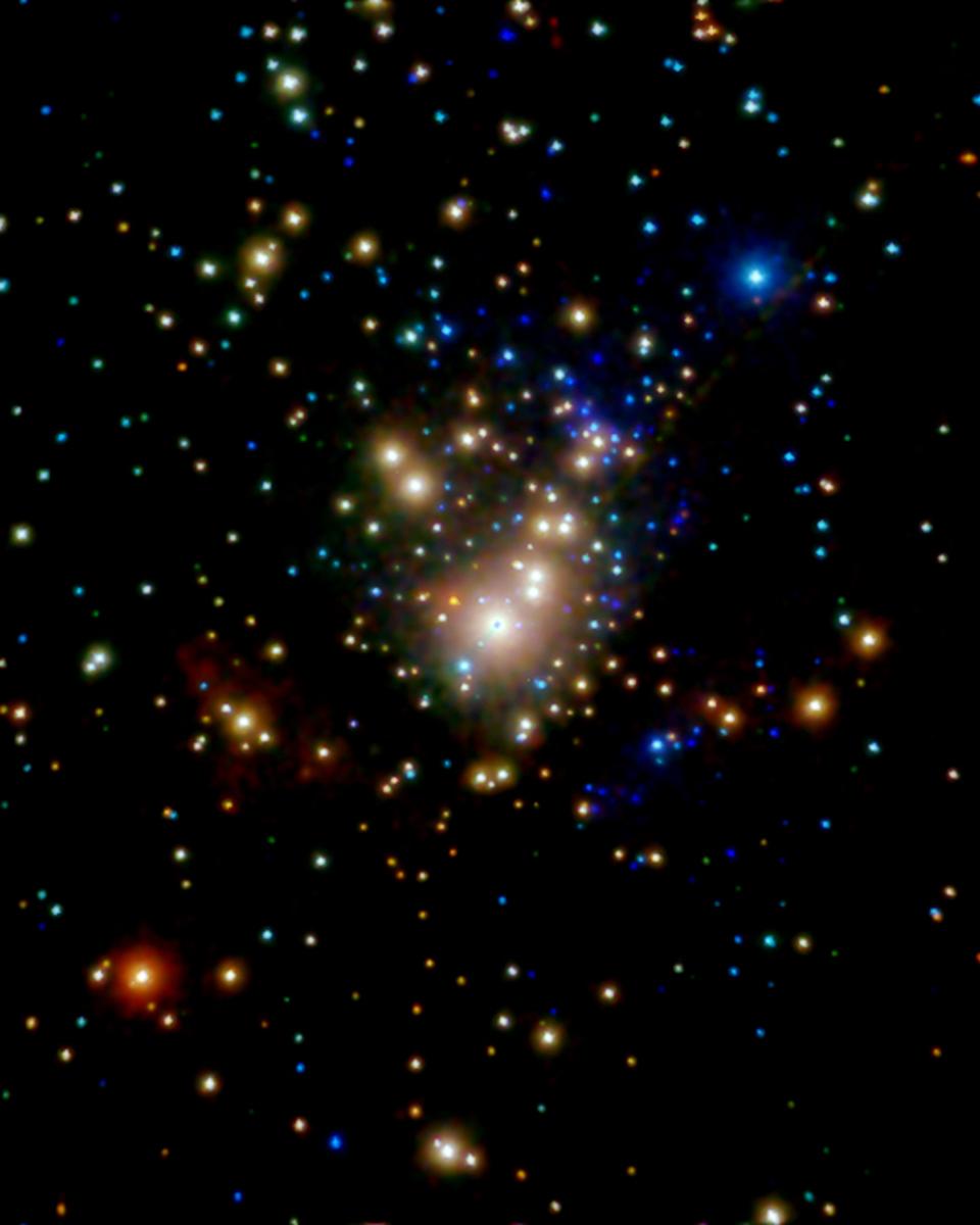X-ray Stars of Orion
