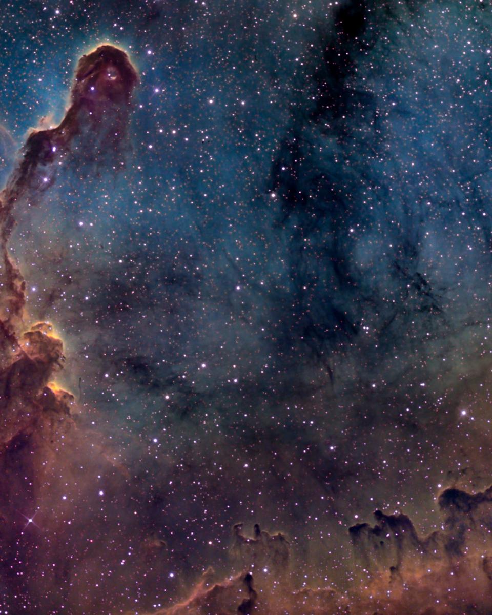 The Elephant's Trunk in IC 1396