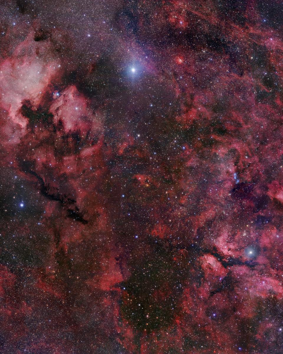 Northern Cygnus