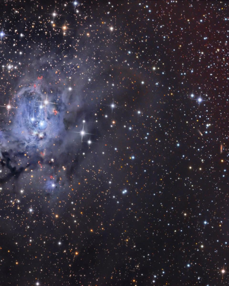 NGC 7129 and NGC 7142