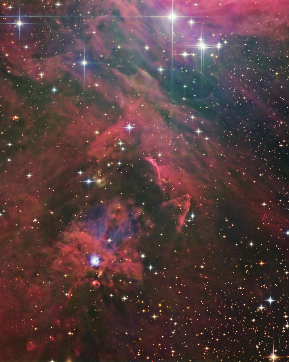 South of Orion