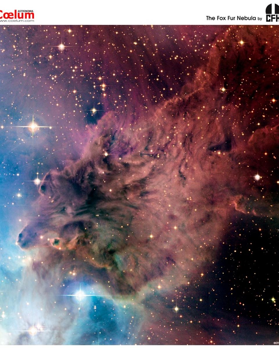 The Fox Fur Nebula from CFHT