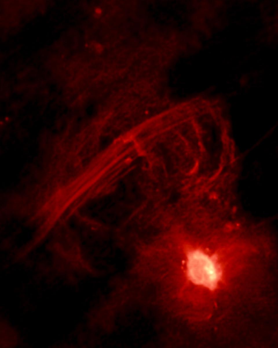 The Galactic Center Radio Arc