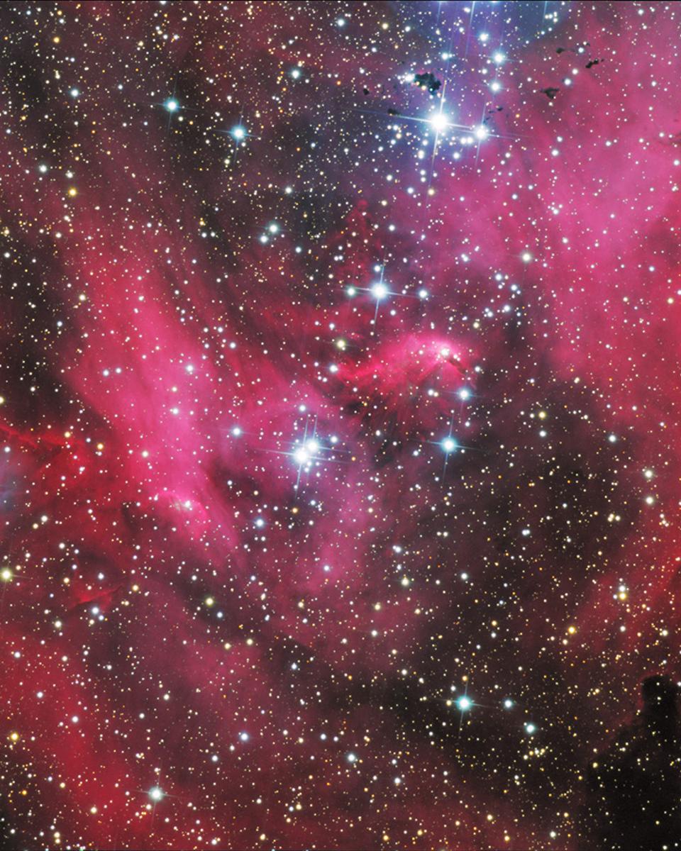 IC 2948: The Running Chicken Nebula
