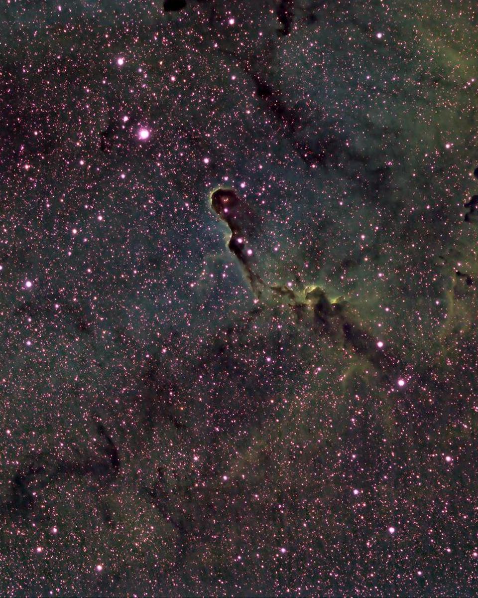 The Elephant's Trunk in IC 1396