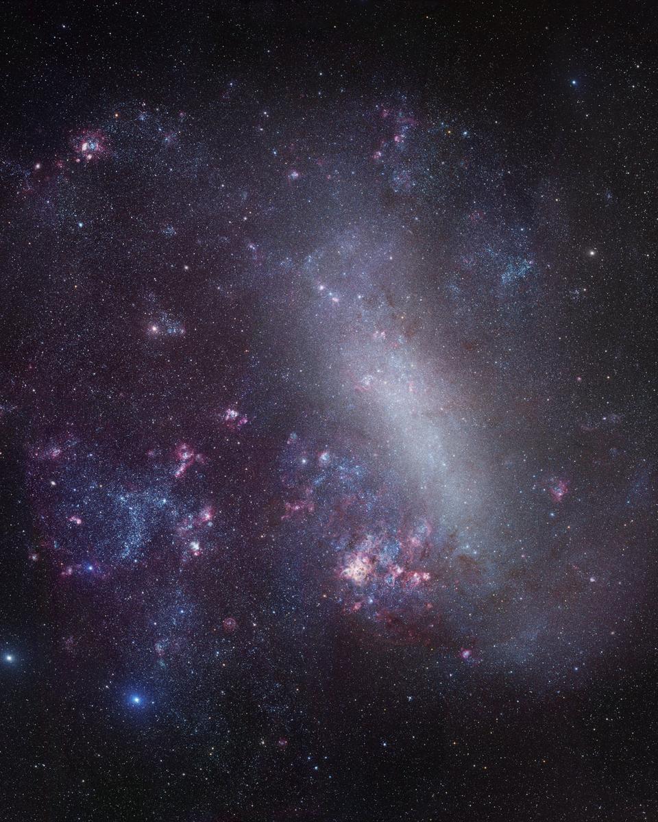 The Large Cloud of Magellan