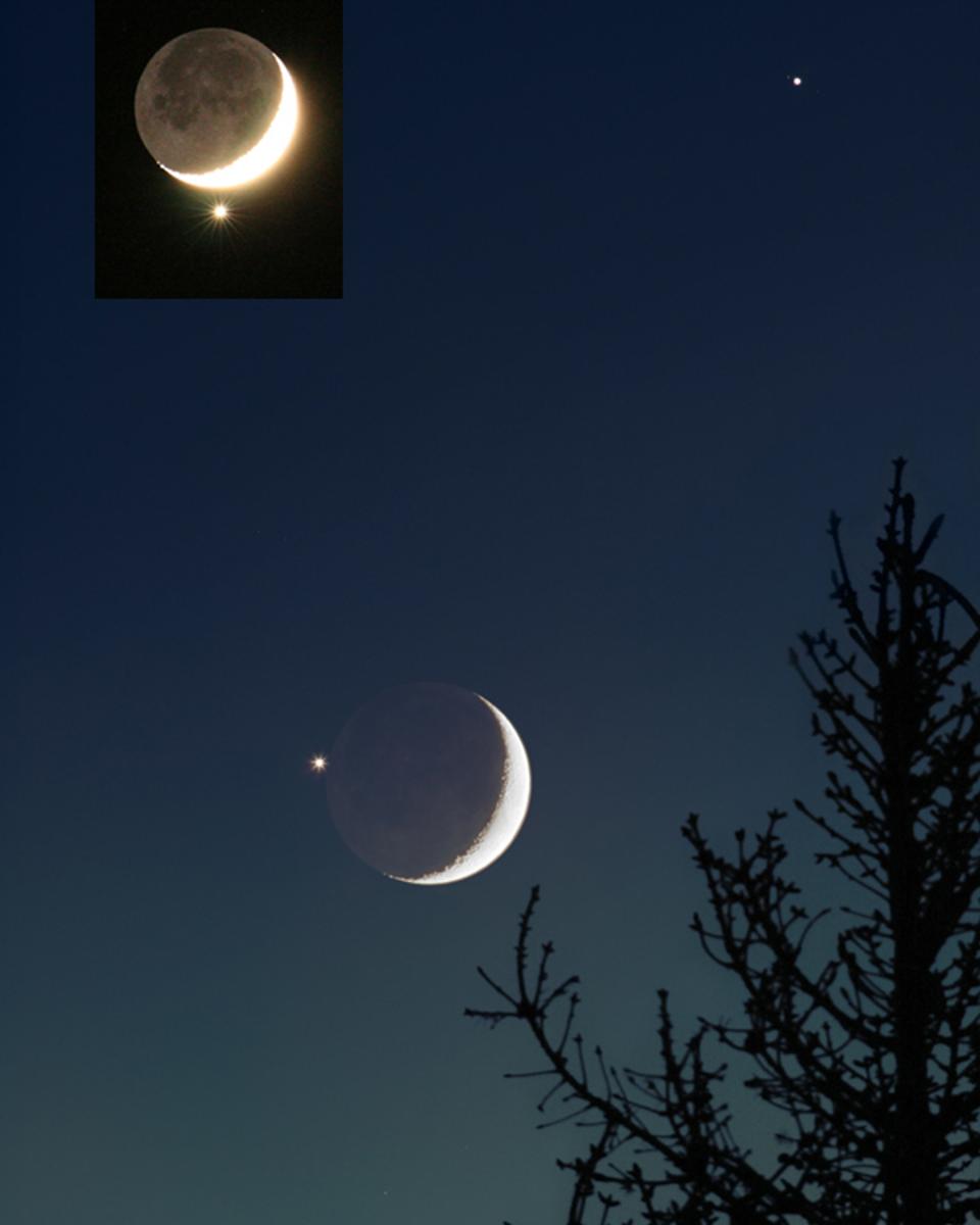 Venus in the Moon