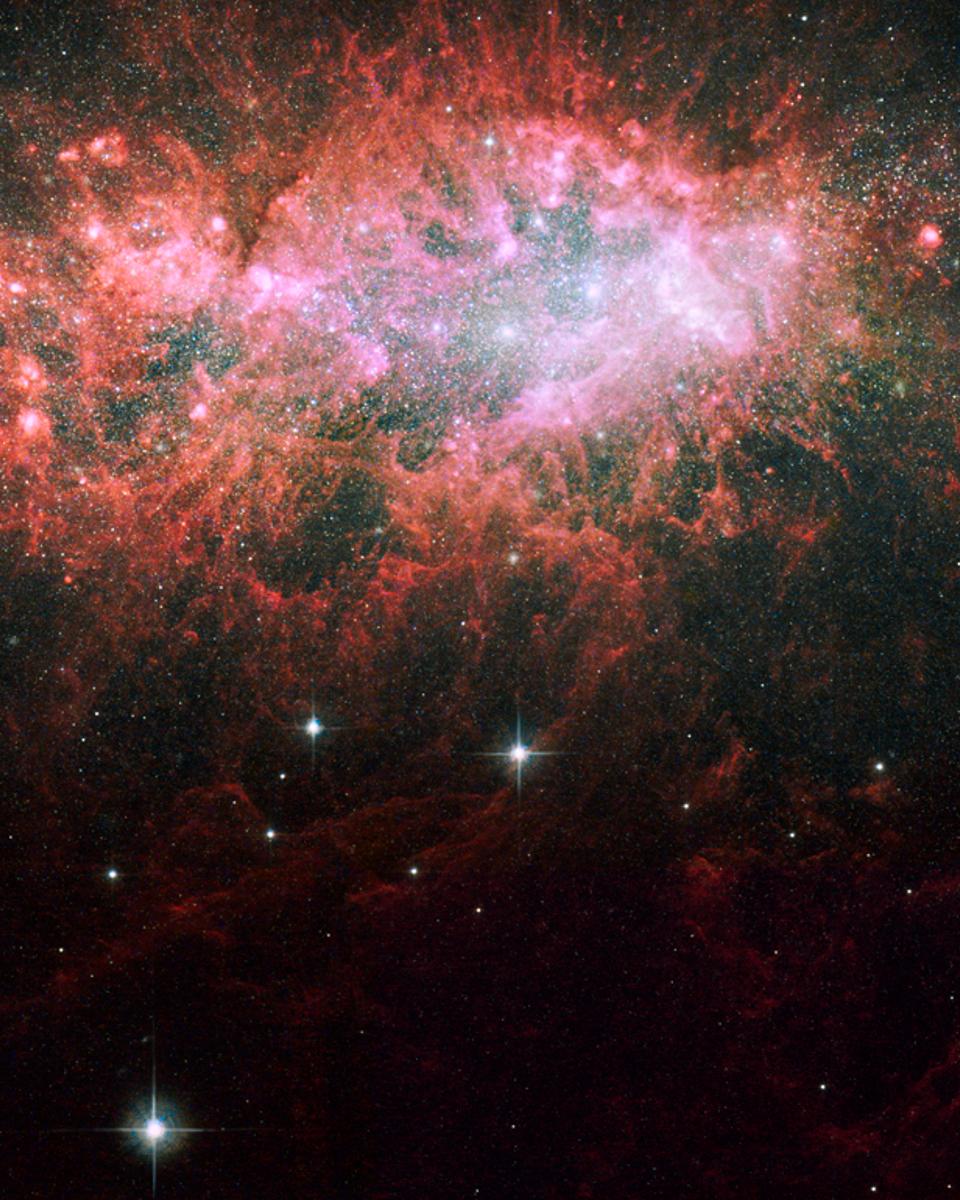 NGC 1569: Starburst in a Dwarf Irregular Galaxy