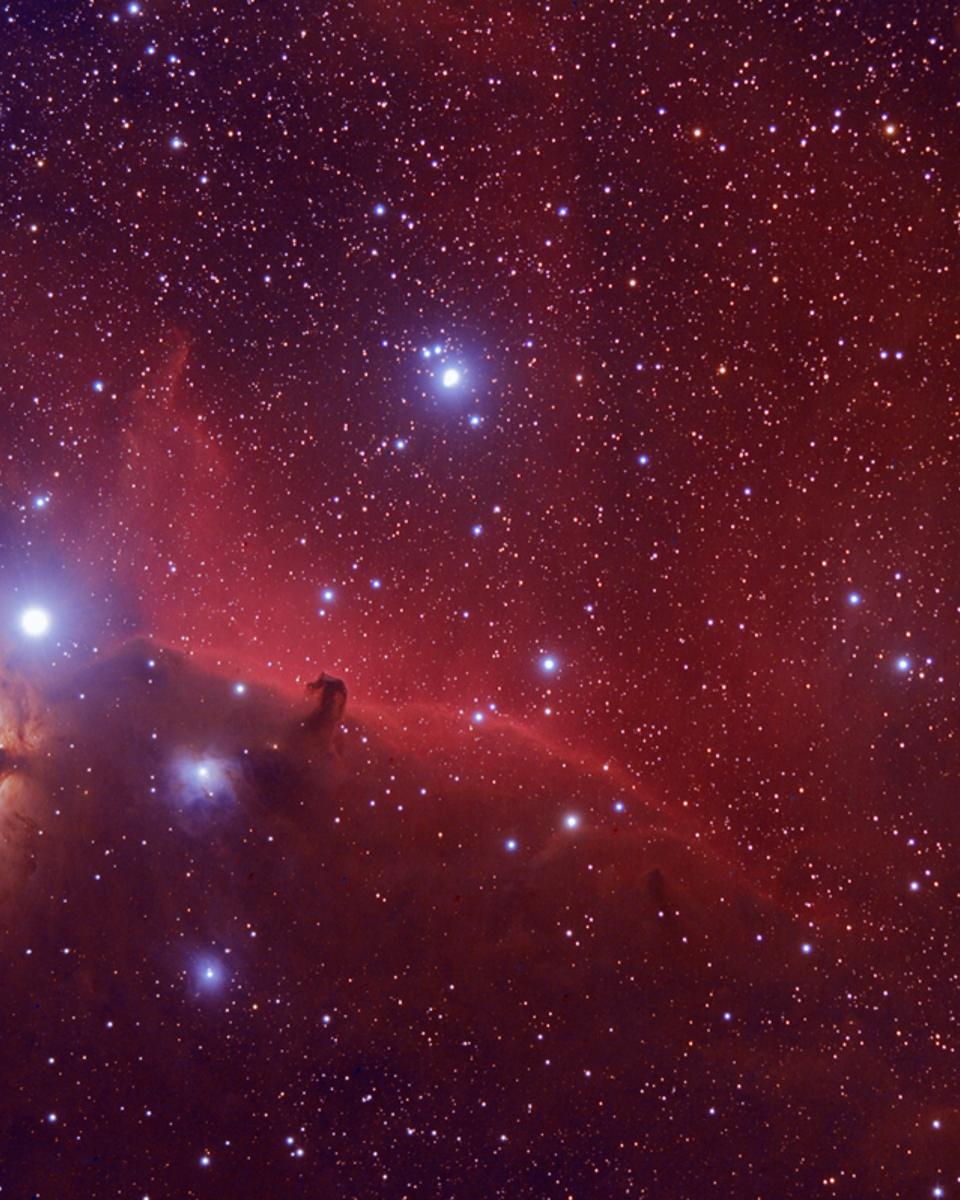 Orion's Horsehead Nebula