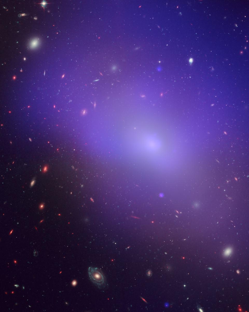 Elliptical Galaxy NGC 1132