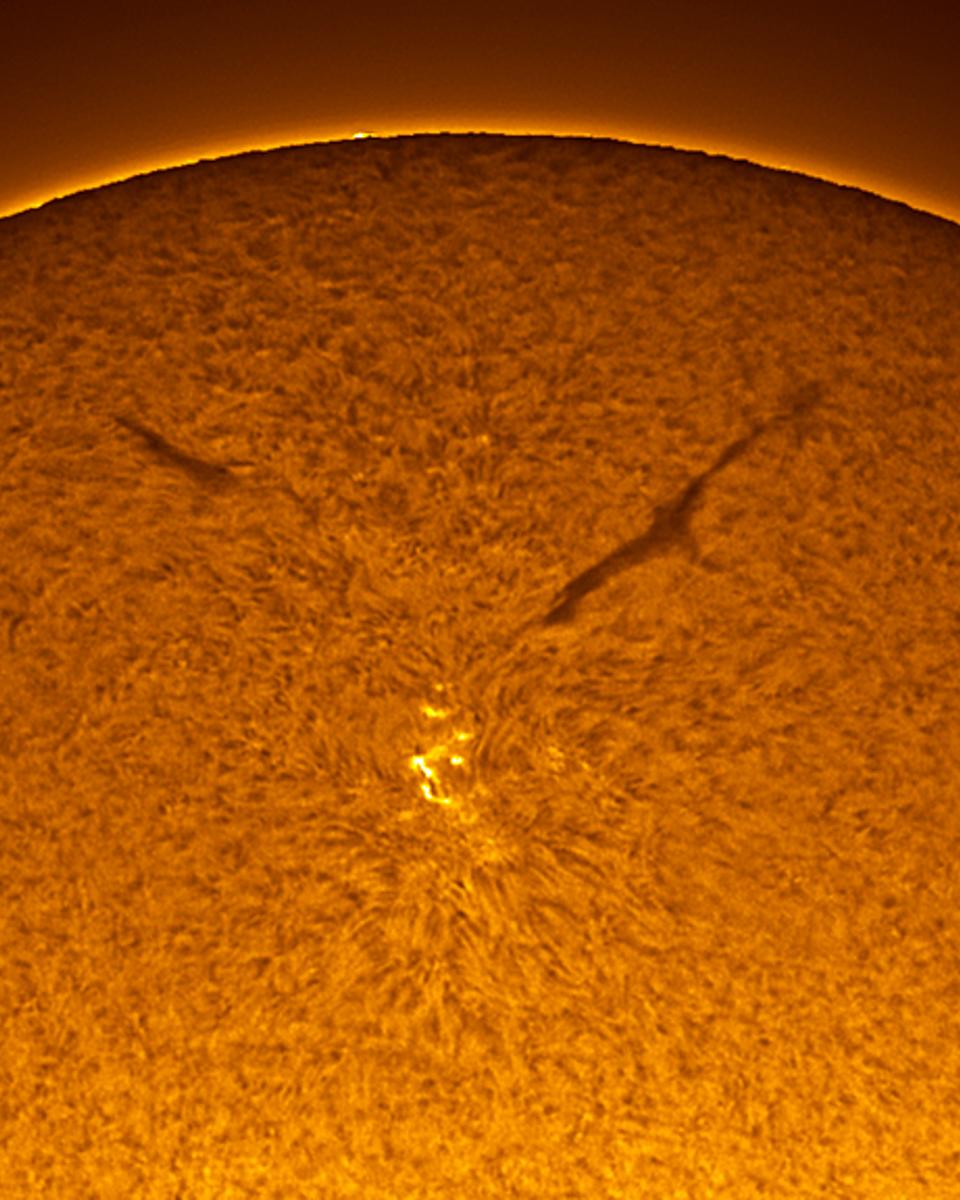 Sunspot in the Old Solar Cycle