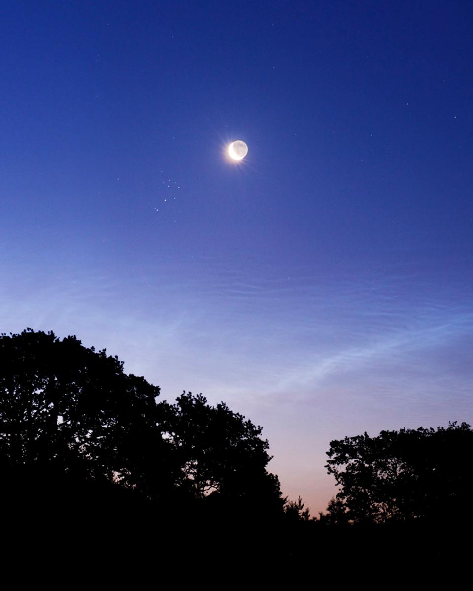 Night Shinings