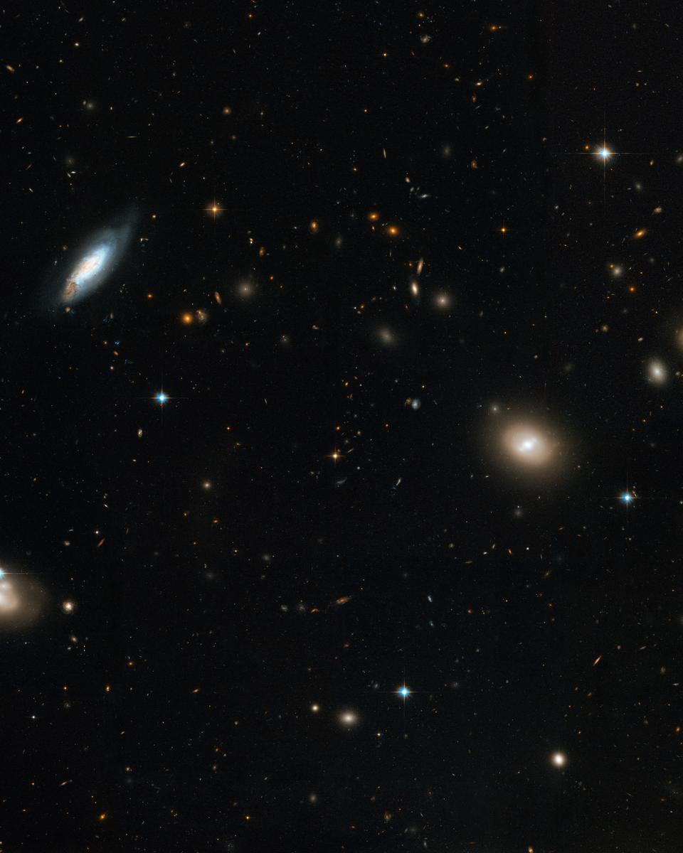 Inside the Coma Cluster of Galaxies