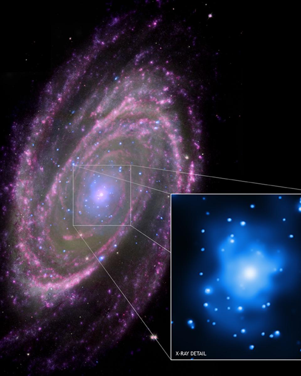 M81: Feeding a Black Hole