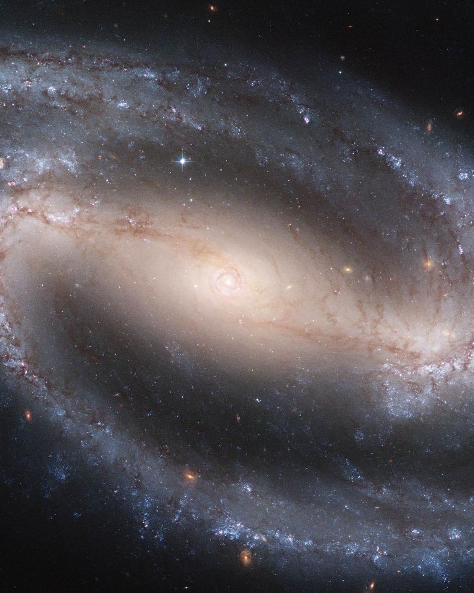 Barred Spiral Galaxy NGC 1300