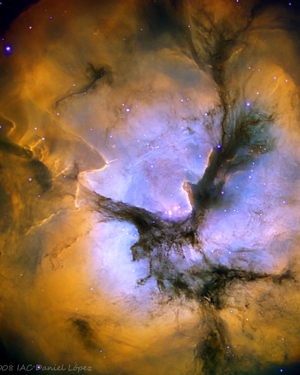 In the Center of the Trifid Nebula