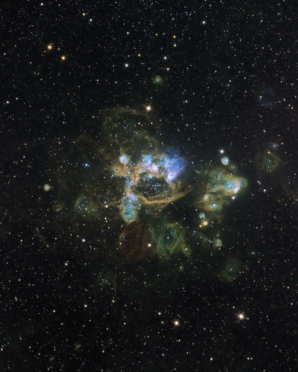 The N44 Complex