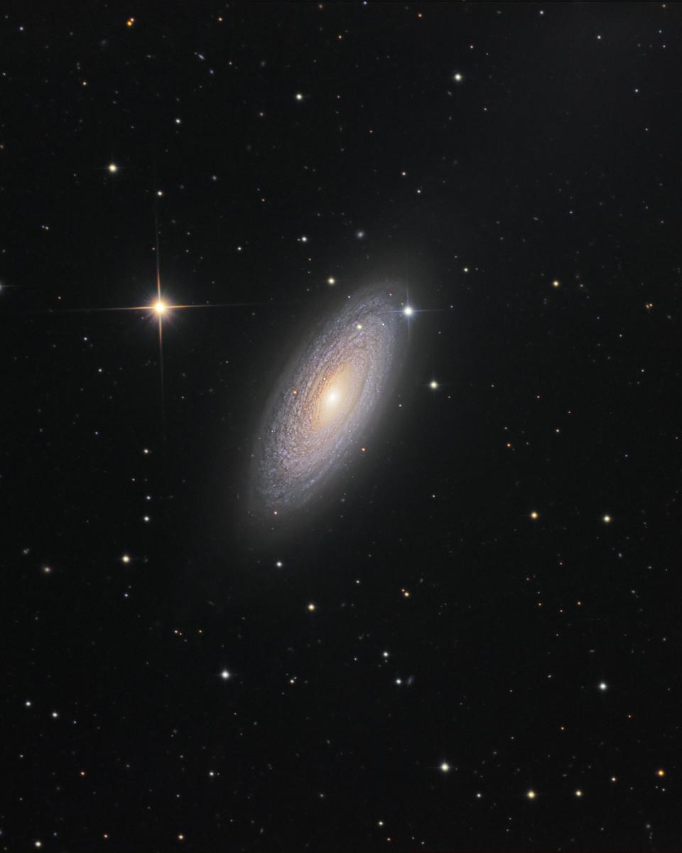 Spiral Galaxy NGC 2841