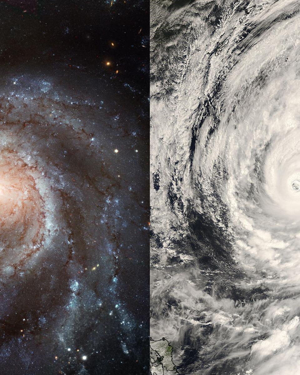 Logarithmic Spirals