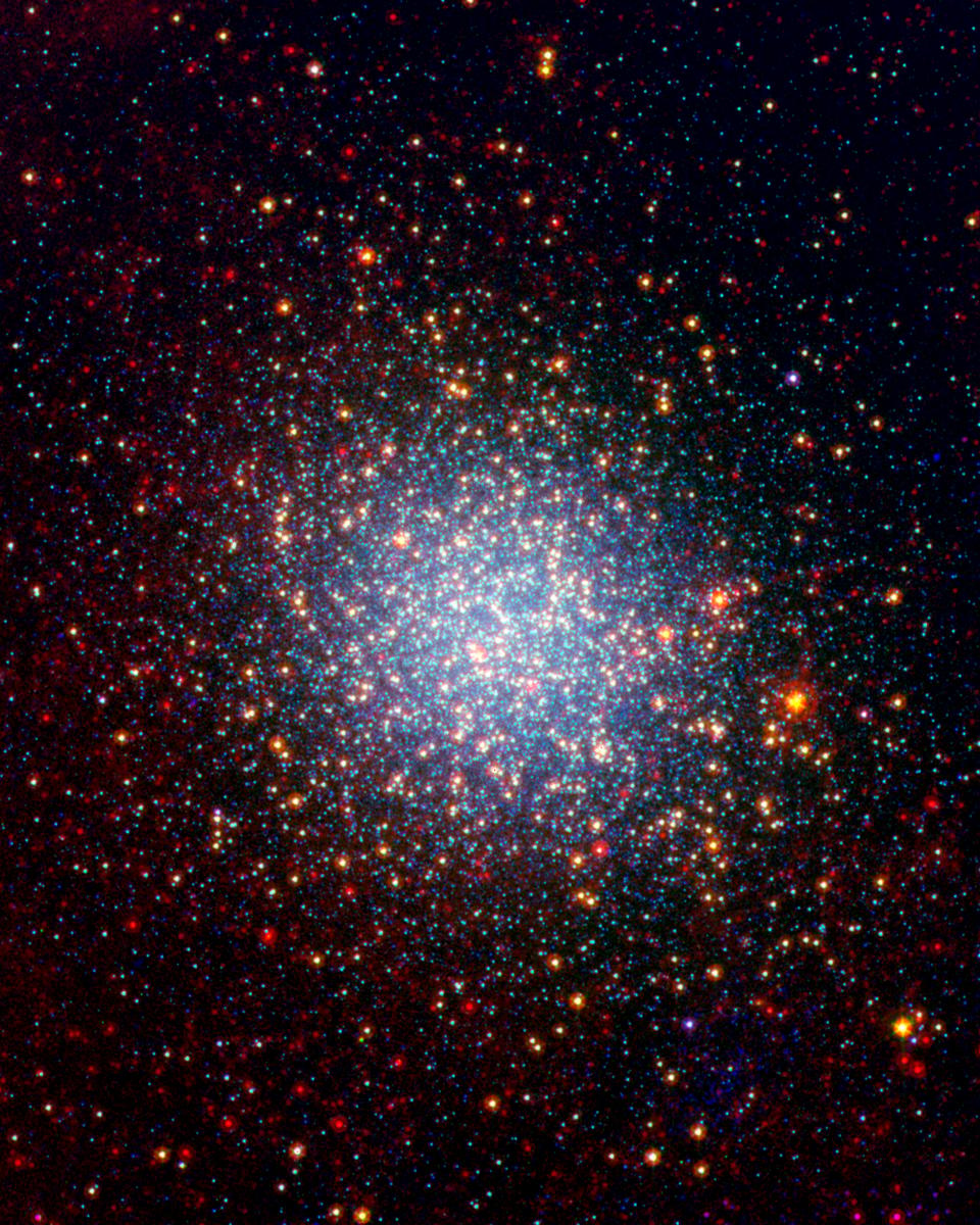 The Giants of Omega Centauri