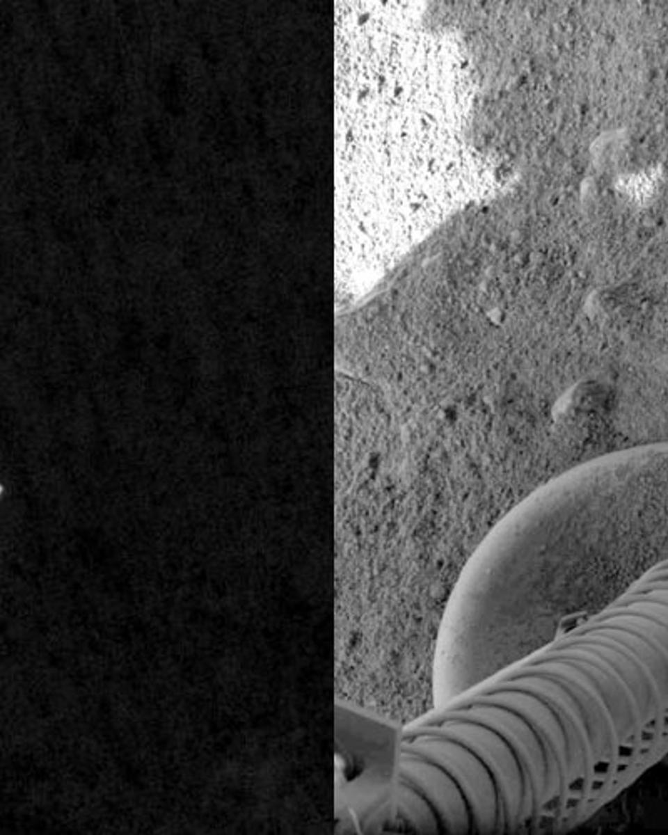 Phoenix at Mars