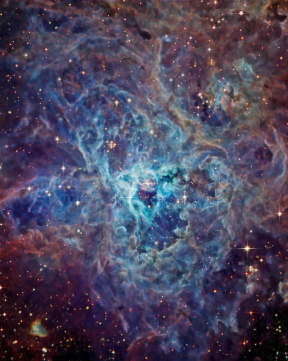 The Cosmic Web of the Tarantula Nebula
